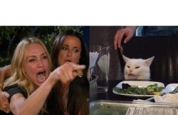 Template